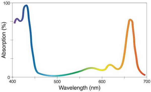 spectroscopy - A compound that absorbs all visible light