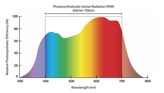 Photosynthetically active region_graph